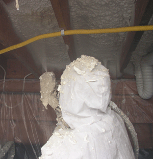 Evansville IN crawl space insulation
